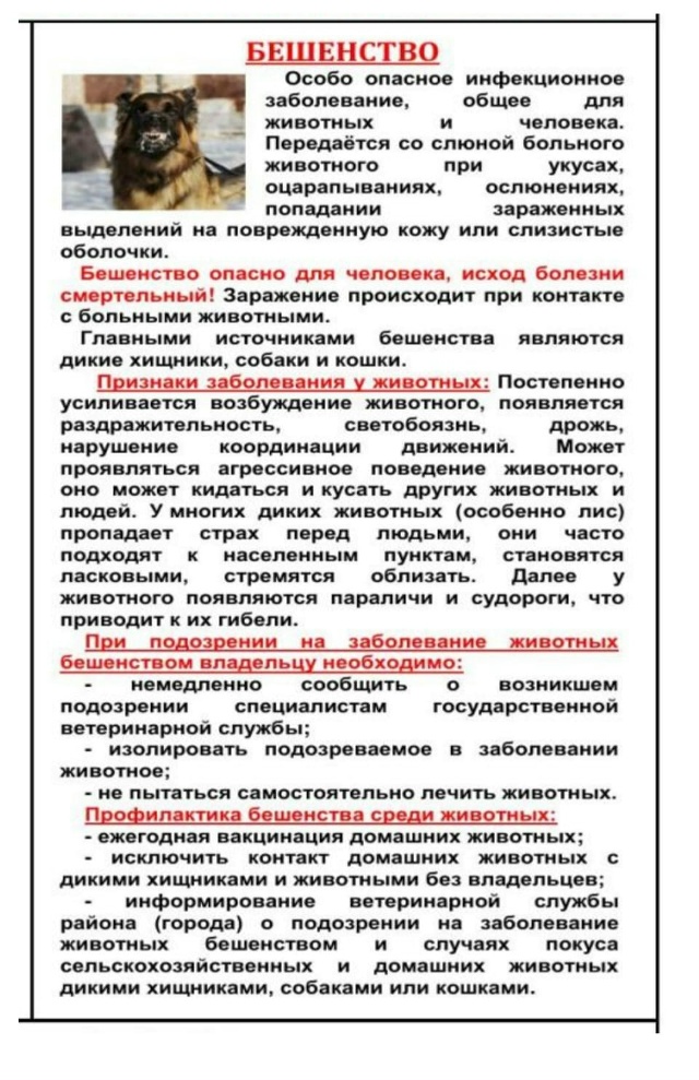 Бешенство животных!
